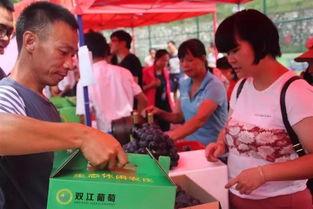 广东河源吃瓜爆料,揭秘当地独特美食文化