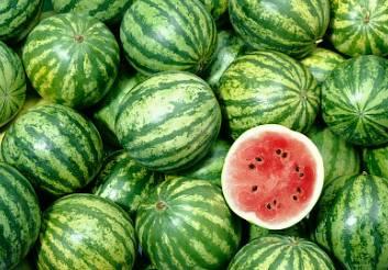 嘉禾望岗娱乐吃瓜