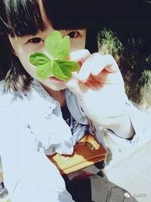 吃瓜网红张子凡